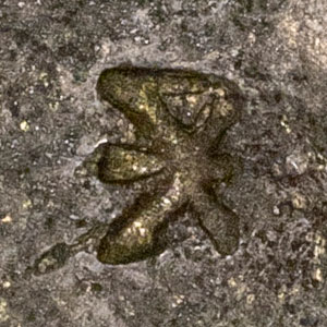 Unknown symbol