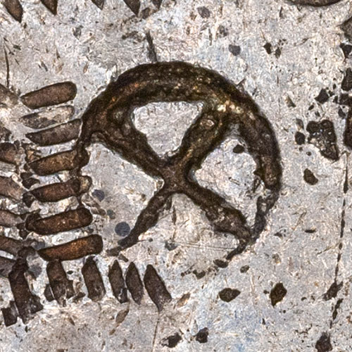 Symbol chopmark