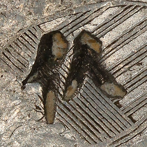 Possibly 仈 - bā - eight