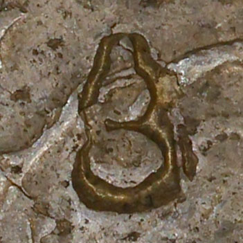 A gourd shaped chopmark, a common symbol in Chinese culture and often seen chopmarked on coins